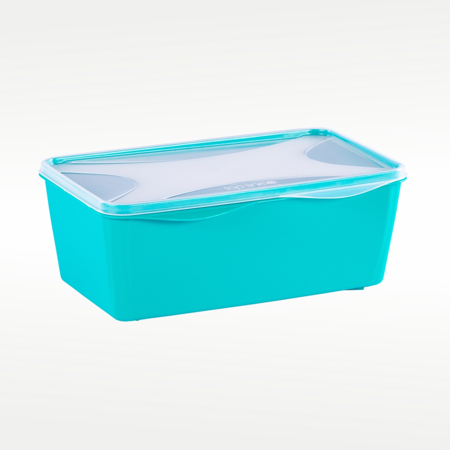 imagem do produto organizador multiúso retangular 3 L