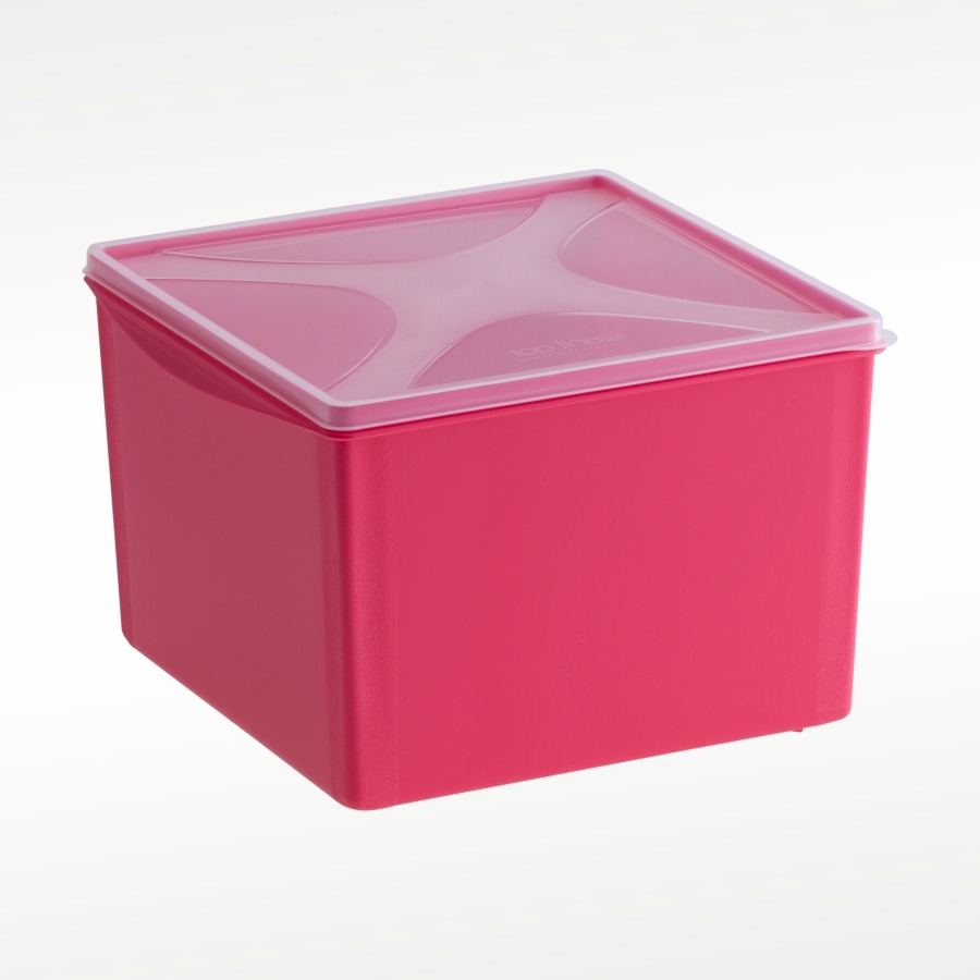 imagem do produto organizador multiúso quadrado 5,2 L