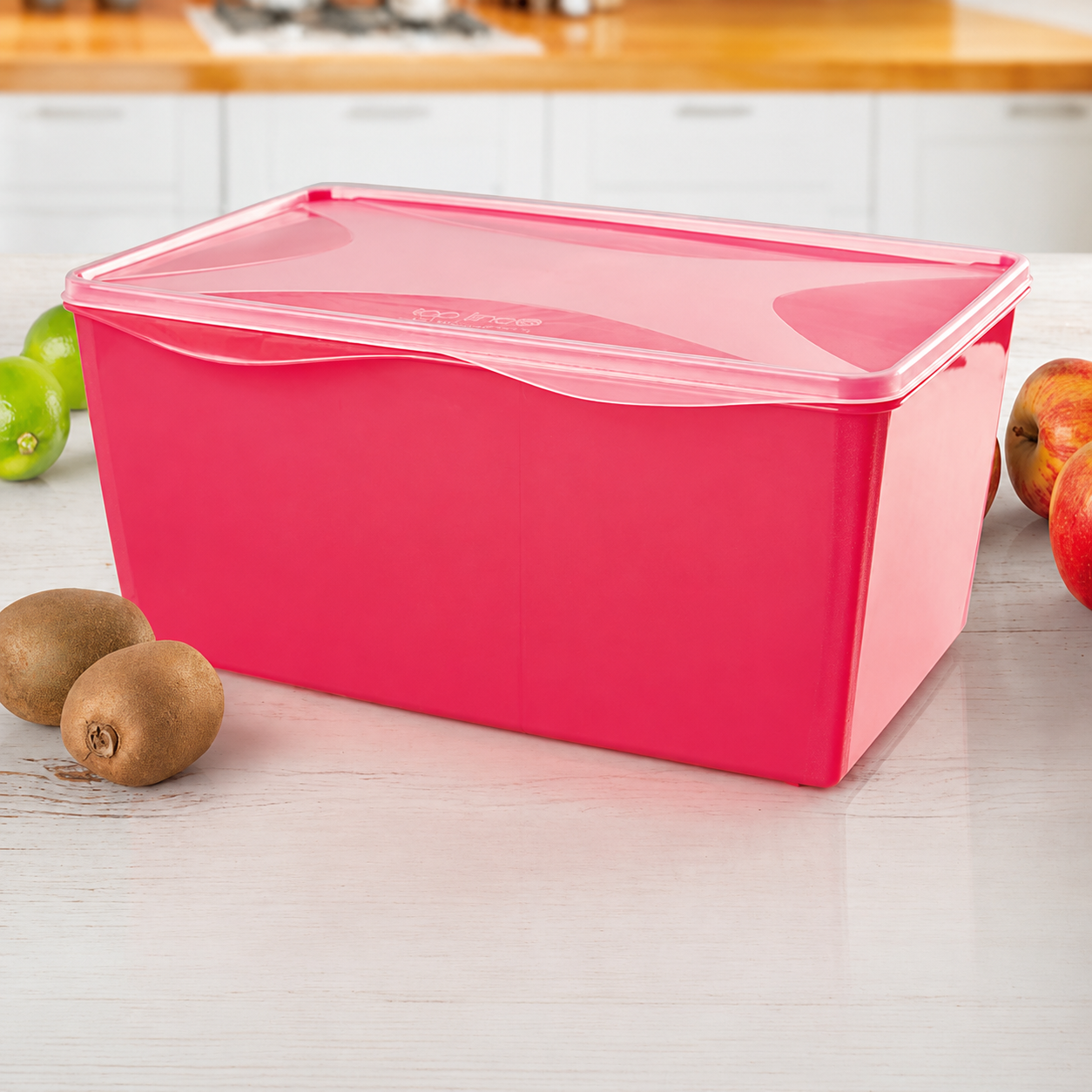 organizador multiúso retangular 12 L