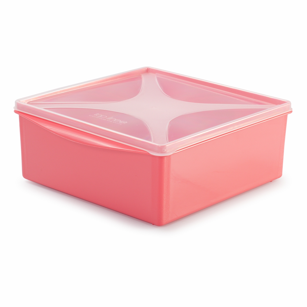 organizador multiúso quadrado baixo 2,8 L