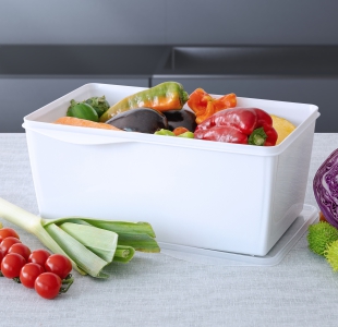 organizador multiúso retangular 12 L