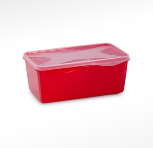 organizador multiúso retangular 1,5 L