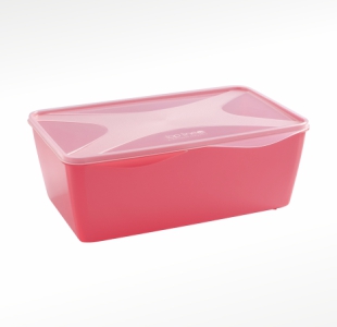organizador multiúso retangular 5 L
