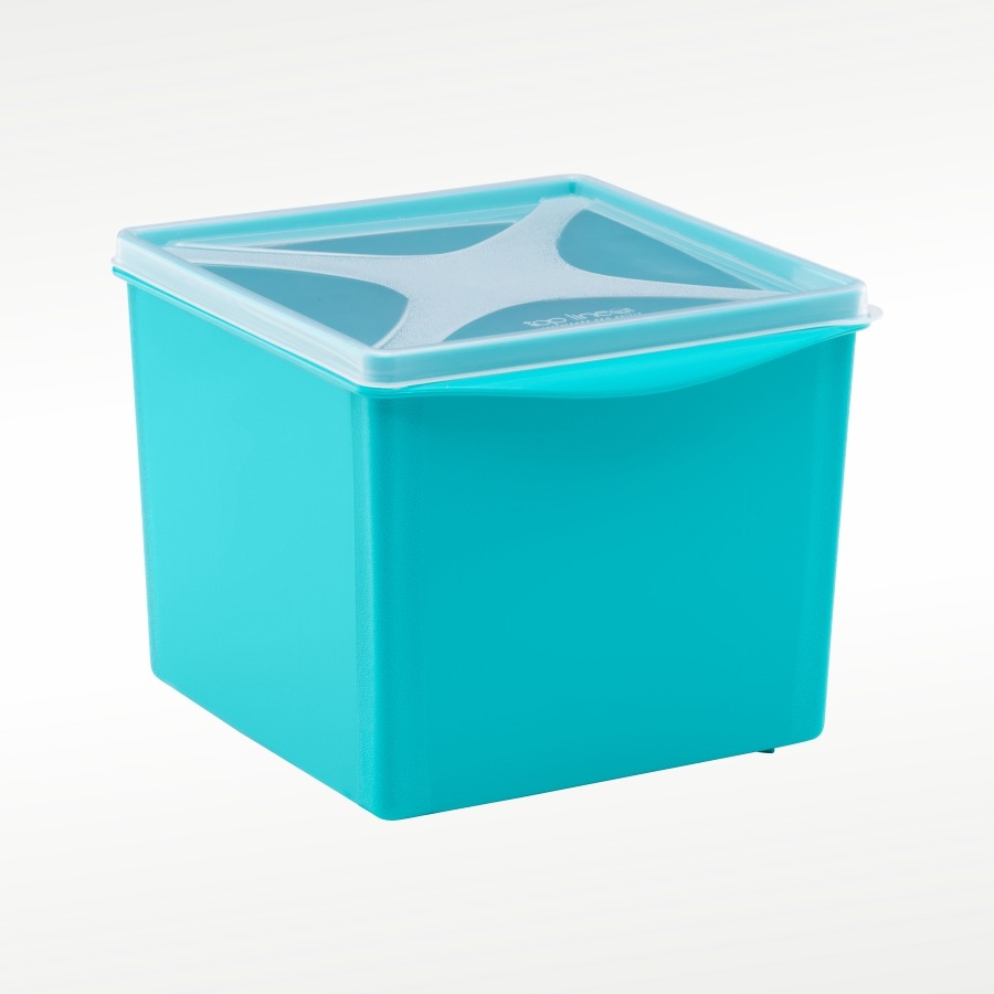 imagem do produto organizador multiúso quadrado 2,6 L