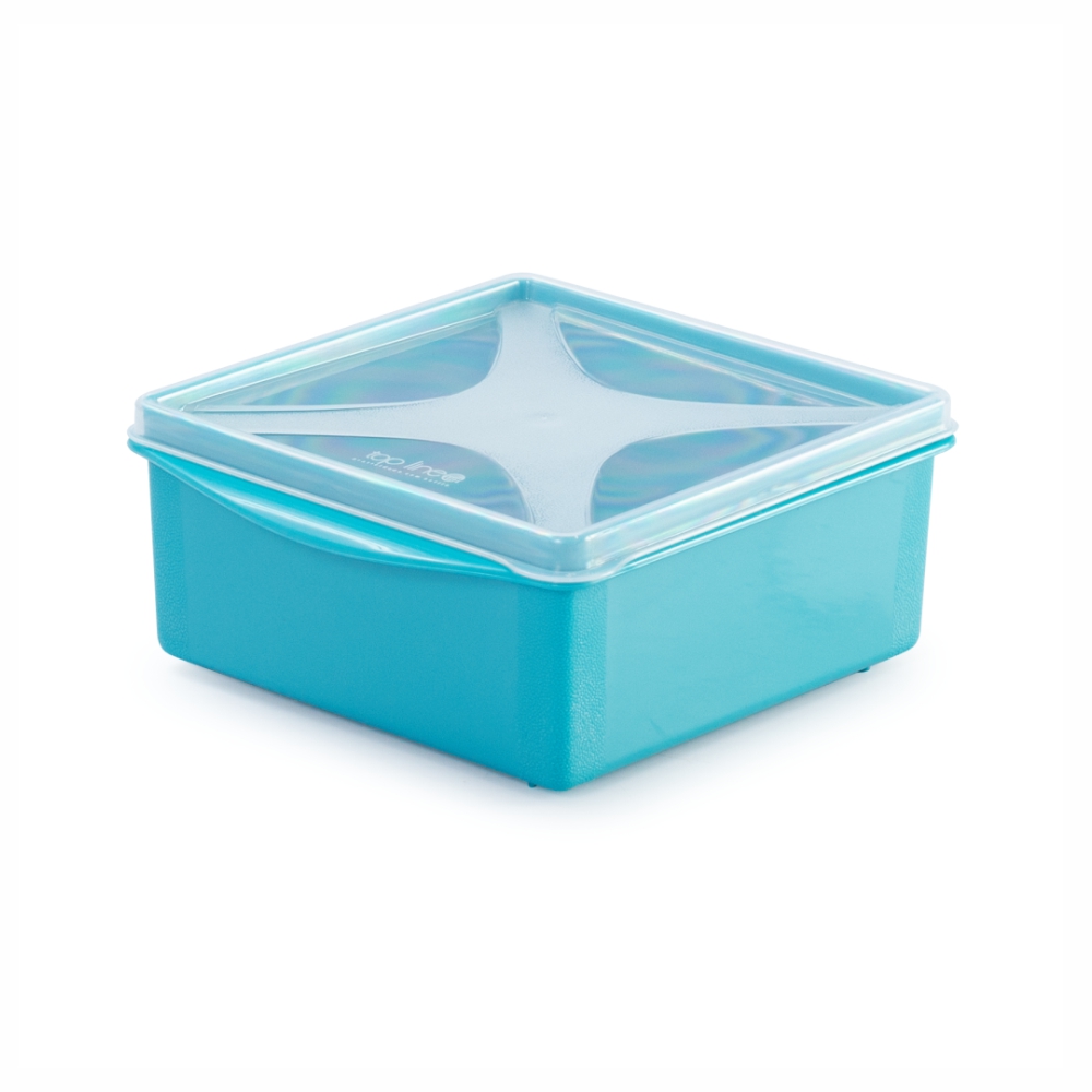 imagem do produto organizador multiúso quadrado baixo 620 ml