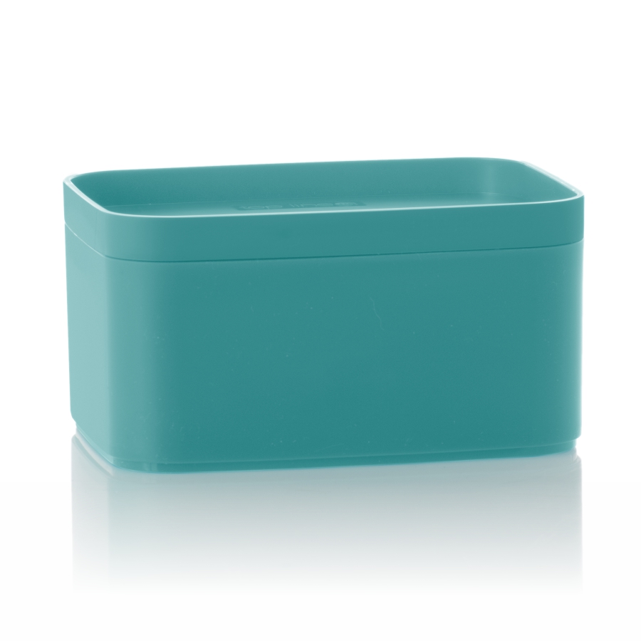 caixa multiúso 3,3 L - color