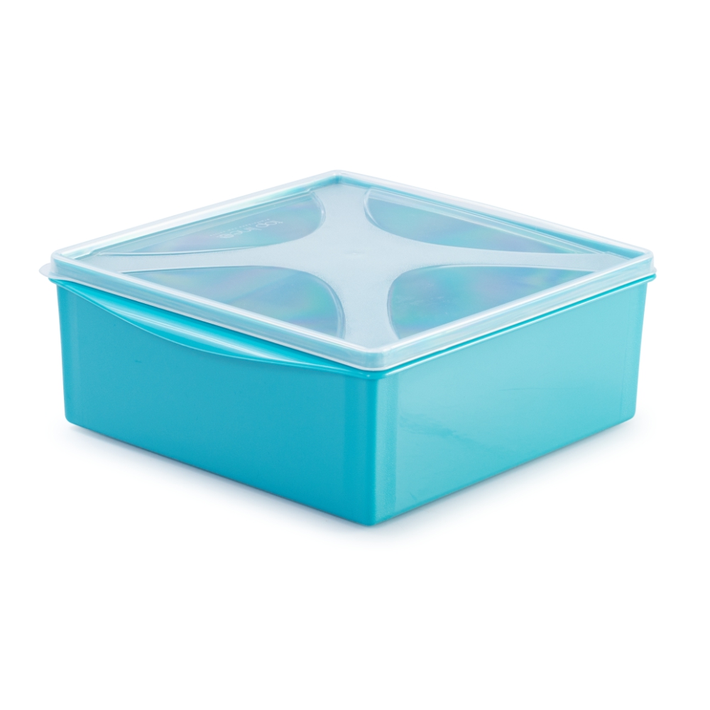 organizador multiúso quadrado baixo 2,8 L